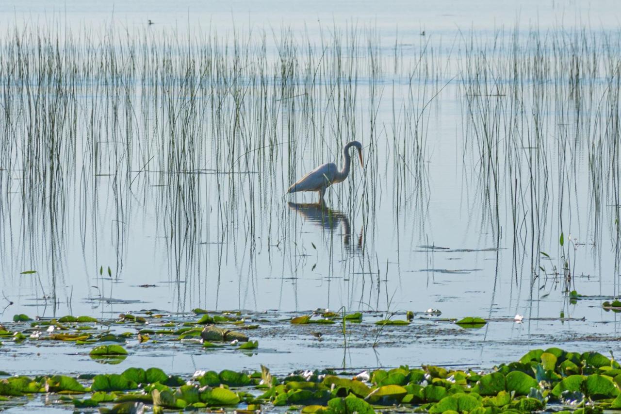 Life'S A Hoot Villa Au Gres Luaran gambar